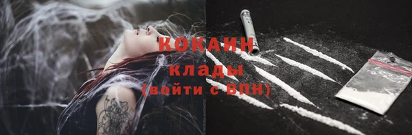 прущие грибы Баксан