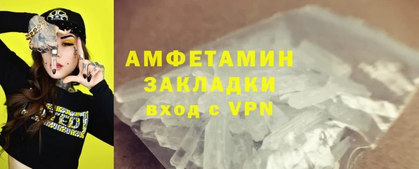 прущие грибы Баксан