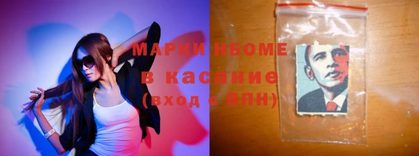 прущие грибы Баксан