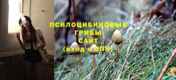 мяу мяу мука Белокуриха