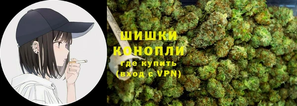 прущие грибы Баксан