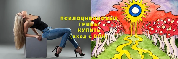 прущие грибы Баксан
