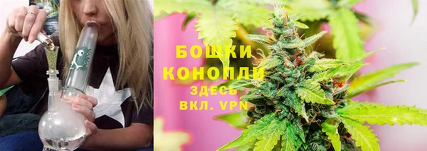 прущие грибы Баксан