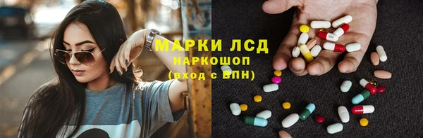 прущие грибы Баксан