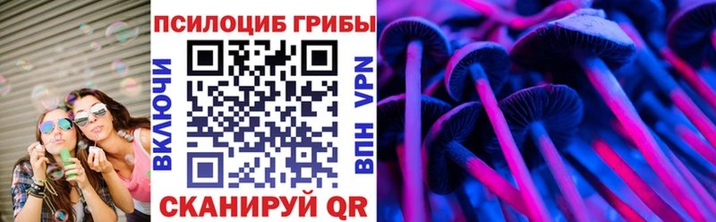 маркетплейс формула  Кувандык  Псилоцибиновые грибы мицелий 