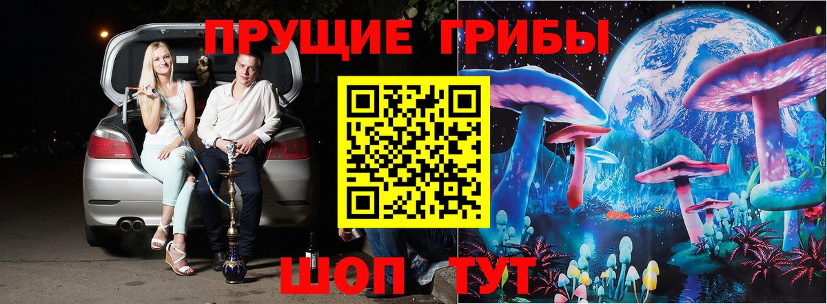 Псилоцибиновые грибы прущие грибы Кувандык