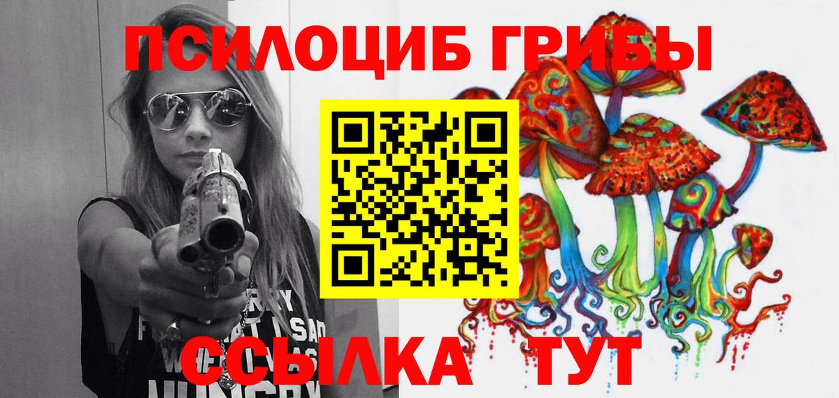 Псилоцибиновые грибы GOLDEN TEACHER  Вход с VPN  Кувандык 